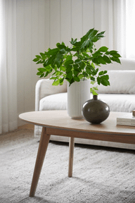 Pisipilt: Yumi diivanilaud ovaalne 130x65 whitewash tamm