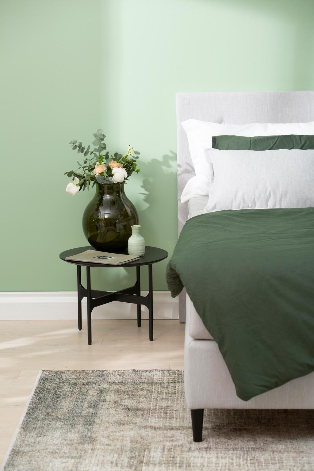 Salla jenkkivoodi, 160x200cm + peats + kattem.