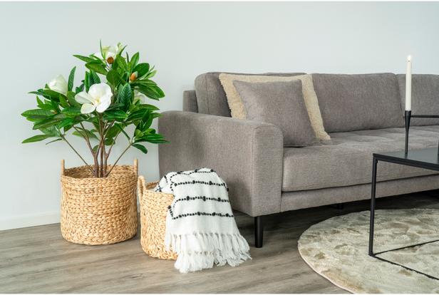 House Nordic Passo korvide komplekt (2 tk), 33 cm + 35 cm