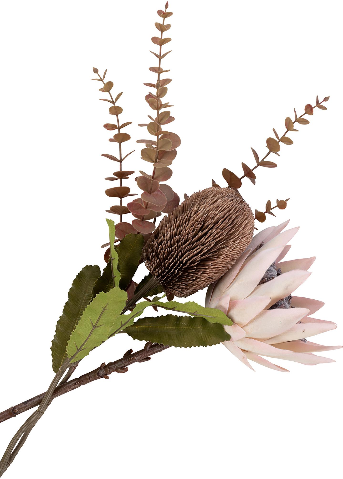 House Nordic kuningprotea (kunsttaim), 65 cm