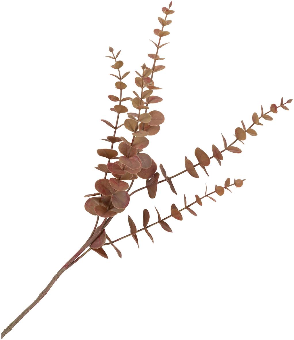 House Nordic kuningprotea (kunsttaim), 65 cm