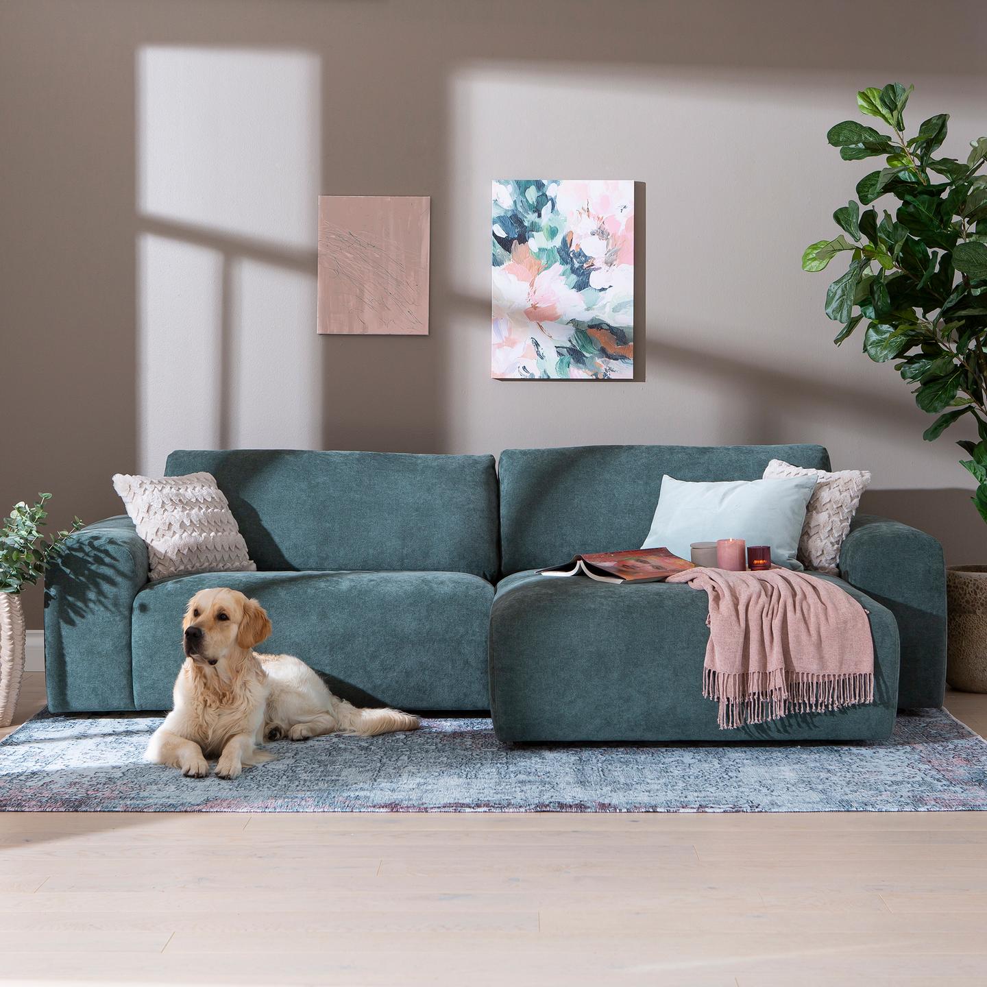 Kyoto nurgadiivan (parem), Cloud 39