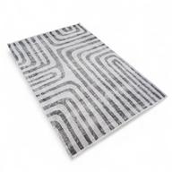 Pisipilt: Moderni vaip, 160x230 cm, hall