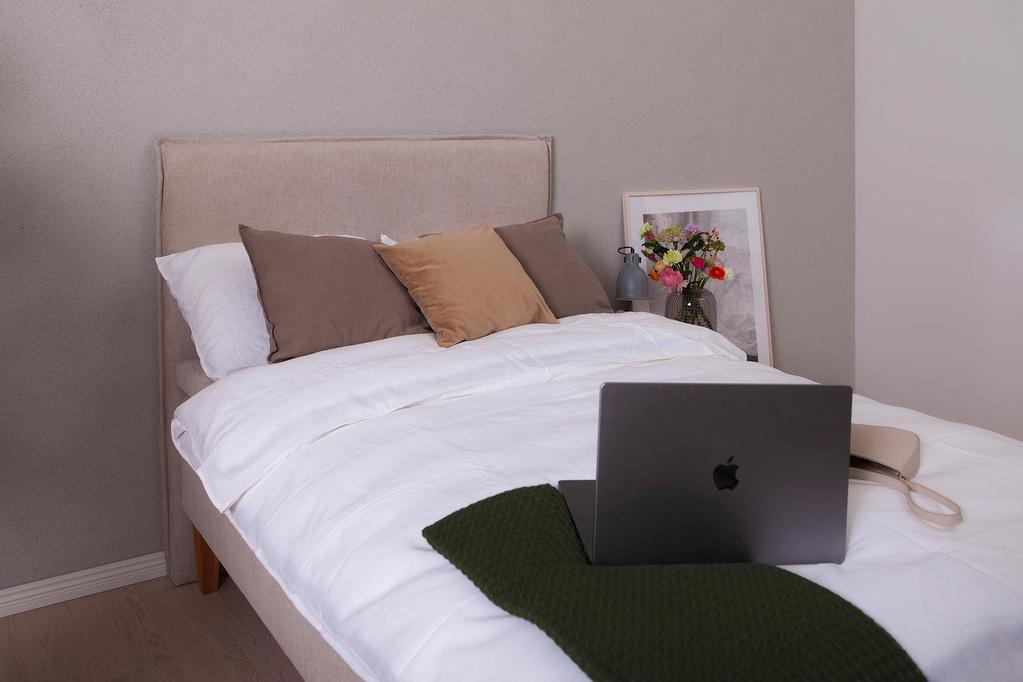 Dream kušett 80x200 cm (sis. kattemadrats)