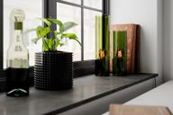 Pisipilt: Flake laualamp 30cm roheline