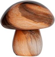 Pisipilt: Mira mushroom laualamp