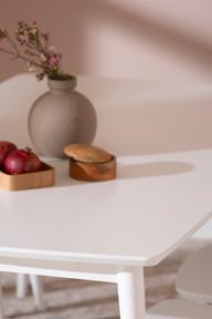 Pisipilt: Reino söögilauakomplekt 170x95 kuuele, valge