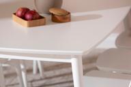 Pisipilt: Reino söögilauakomplekt 170x95 kuuele, valge