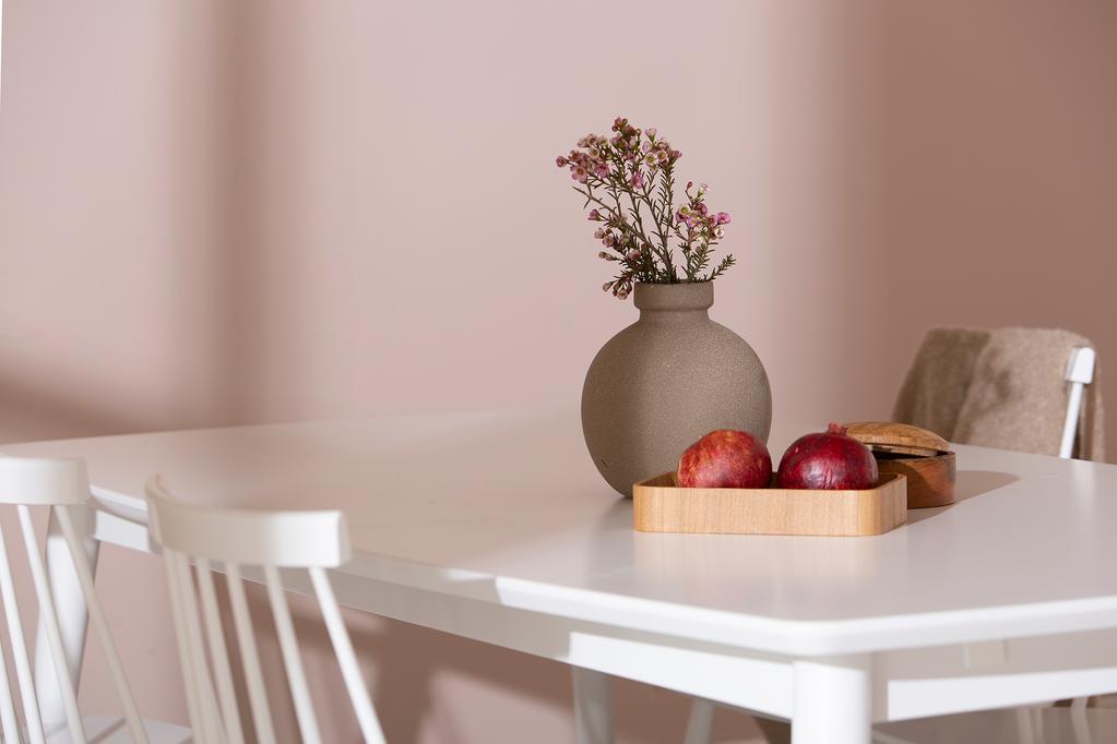 Reino söögilauakomplekt 170x95 kuuele, valge