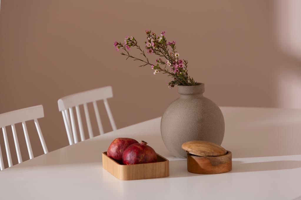 Reino söögilauakomplekt 170x95 kuuele, valge