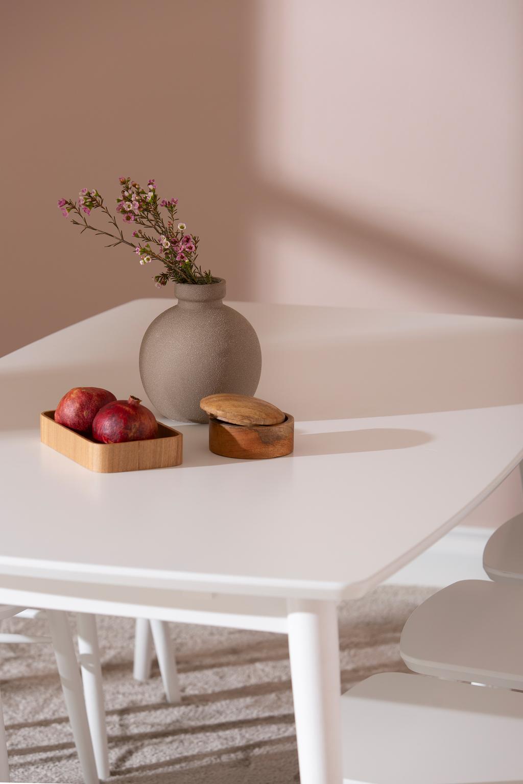 Reino söögilauakomplekt 170x95 kuuele, valge