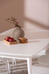 Pisipilt: Reino söögilauakomplekt 170x95 kuuele, valge