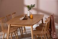 Pisipilt: Reino söögilauakomplekt 170x95 kuuele, lakitud tamm