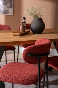 Pisipilt: Isla & Bow söögilauakomplekt 140x95 neljale x-jalg, õlitatud tamm / punane