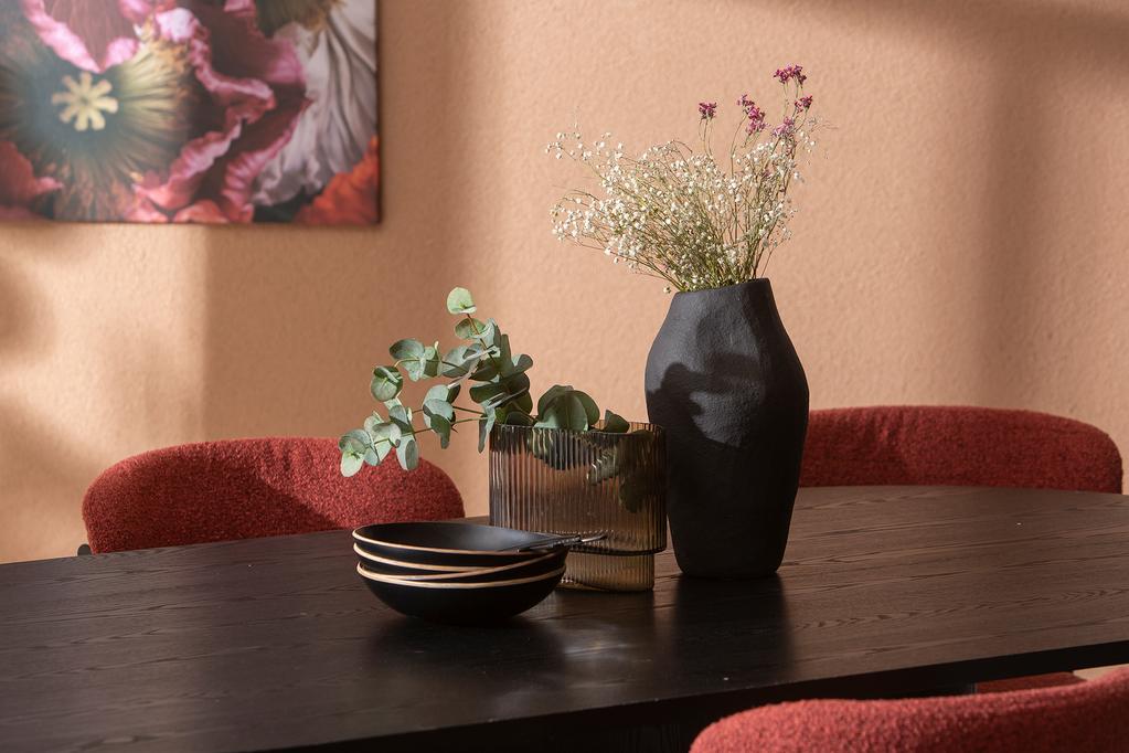 Rotondo & Bow söögilauakomplekt ovaalne 200x100cm kuuele, must saarespoon/tamm/punane