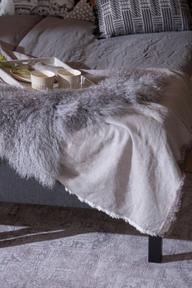 Pisipilt: Uni kušetikomplekt, 160x200 cm + Stiina kattemadrats 160cm