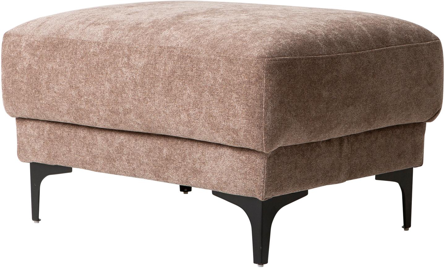 Westcoast järi, storm 18, pruun