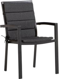 Pisipilt: Vegas istmepehmendus antratsiit