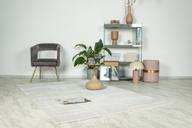 Pisipilt: Vaip Lalee Home Elif 160x230 cm, hõbe