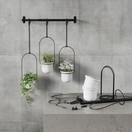 Pisipilt: Umbra Triflora 3 rippuvat lillealust, valge/must