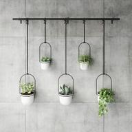 Pisipilt: Umbra Triflora 5 rippuvat lillealust, valge/must