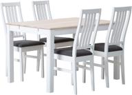 Pisipilt: Söögikomplekt Hovi 120 x 85 cm neljale, valge/valge lakitud laud, valge Delux tool, tumehall polster