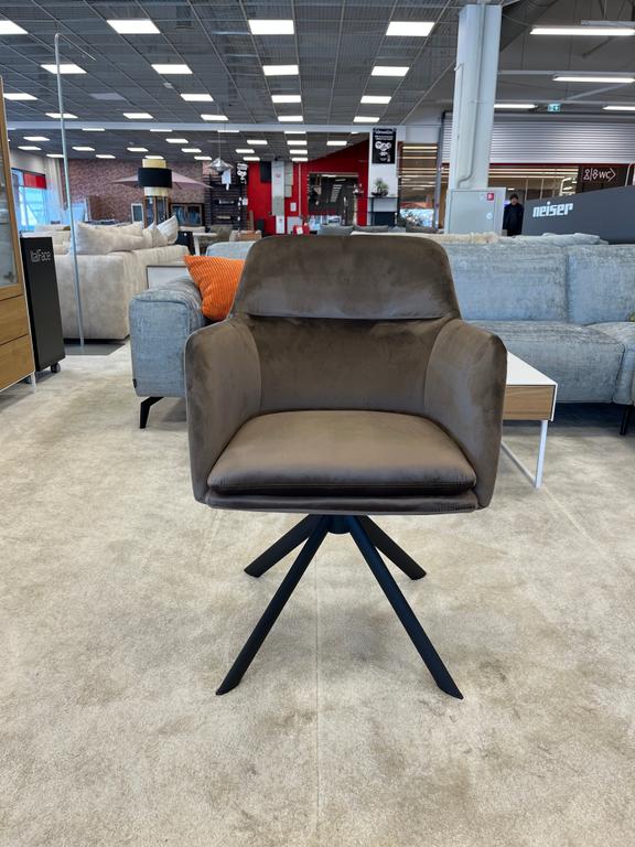 Gladstone tool, pruun