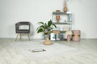 Pisipilt: Vaip Lalee Home Elif 200x290 cm, hõbe