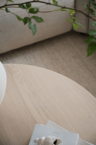 Pisipilt: Yumi diivanilaud ümar 90 whitewash tamm