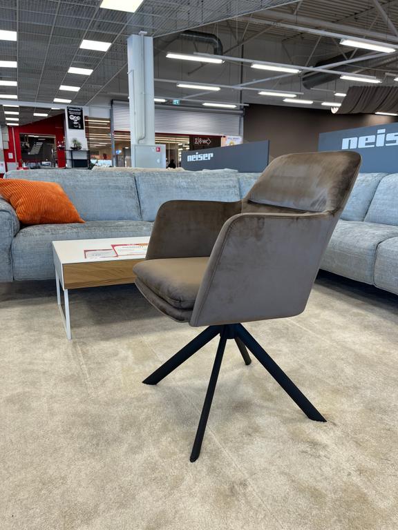 Gladstone tool, pruun