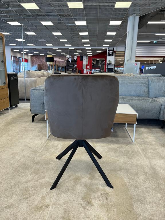 Gladstone tool, pruun