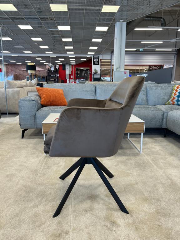 Gladstone tool, pruun