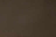 Pisipilt: Lowell tool pruun/must